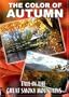 The Color of Autumn "Fall in the Great Smoky Mountains"
