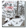 Gams: Bilder aus den Bergen