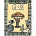 Connoisseur's Guide to Antique Glass (Connoisseur's Guides)