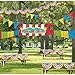 Outdoor Carnival Giant Decorating Kit - Multicolor, 1 Pack