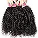 Nadula 8A Unprocessed Brazilian Curly Virgin Human Hair with Free Part Lace Closure Pack of 4 Remy Human Hair Natural Color (12 14 16+10closure)