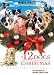 12 Dogs of Christmas 12 Dogs of Christmas