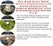 The Best Earn More Money, Inner Game and Sales Models for Mobile Homes On-line Businesses 3 CD Power Pack