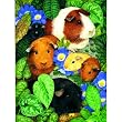Guinea Pigs 100pc Childrens Jigsaw Puzzle by Avril Haynes