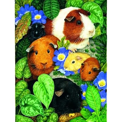 Guinea Pigs 100pc Childrens Jigsaw Puzzle by Avril Haynes