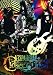 10th Anniversary LIVE Closer to ideal-Brandnew scene- [DVD]
