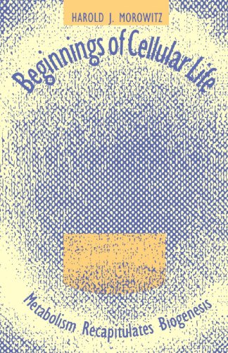 beginnings of cellular life metabolism recapitulates biogenesis