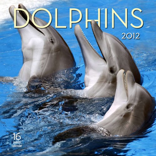 2012 Dolphins Wall calendar