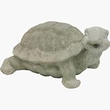 Outdoor Living : Turtle Spitter