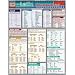 Latin Grammar: Reference Guide (Quickstudy: Academic)