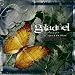Galadriel-Empty Mirrors of Oblivion