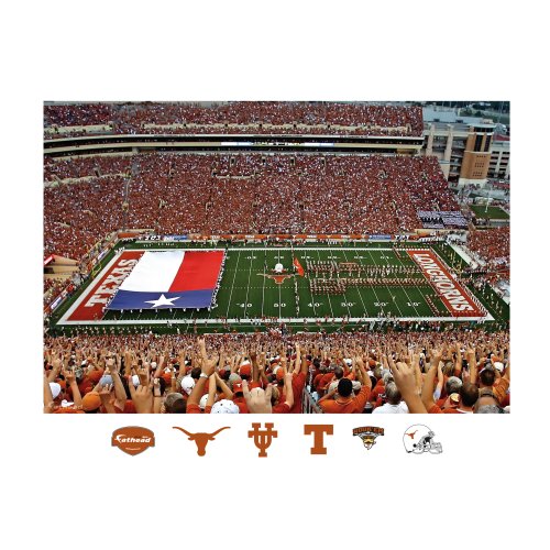 NCAA Texas Longhorns Darrell K Royal Texas Memorial Stadium Flag Mural Wall Graphic