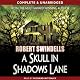 A Skull in Shadows Lane
