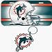 Miami Dolphins License Plate & Key Ring Auto Set