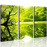 Produkt-Bild: GR&Uuml;NER SEE 3 Bilder auf Leinwand - fertig gerahmt auf Keilrahmen riesig 120 cm XXL. Lounge Bild mit Bilderrahmen. Kein Poster oder Plakat sondern Leinwand Kunstdruck als Wandbild mit Rahmen. Impressionen wie ein echtes &Ouml;lbild oder Gem&auml;lde. LANDSCHAFT