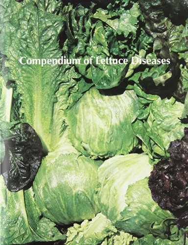 compendium of lettuce diseases disease compendium series disease compendium series