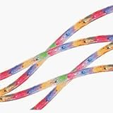 Neo Neon DL-2W-18FT-1-120V-M 18' Multi Rope Light
