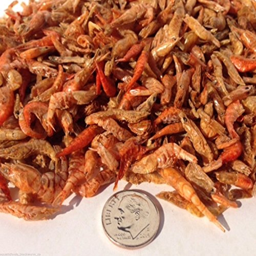 Top 5 Best shrimp turtle food for sale 2016 Product BOOMSbeat