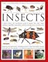 The Illustrated World Encyclopedia of Insects: A natural history and identification guide to beetles, flies, bees wasps, springtails, mayflies, ... crickets, bugs, grasshoppers, fleas, spide