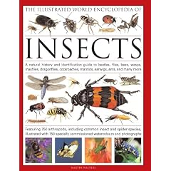 The Illustrated World Encyclopaedia of Insects: A Natural History and Identification Guide to Beetles, Flies, Bees Wasps, Springtails, Mayflies, ... ... Mantids, Earwigs ... and Many More