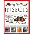 The Illustrated World Encyclopedia of Insects: A natural history and identification guide to beetles, flies, bees wasps, springtails, mayflies, stoneflies, dragonflies, damselflies, cockroaches, mantes, earwigs, stick and leaf insects, bristletails, dipteran, crickets, bugs, grasshoppers, fleas, spide