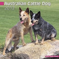 Kalender 2012 Australian Cattle Dog