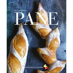 Pane