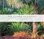 The Colors of Nature: Subtropical Gardens by Raymond Jungles