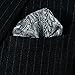 HISDERN Men's Paisley Pocket Square Handkerchief