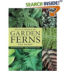 Encyclopedia of Garden Ferns