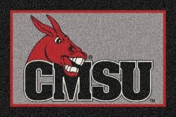 Central Missouri State Fighting Mules 7' 8" x 10' 9" Team Spirit Area Rug