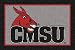 Central Missouri State Fighting Mules 7' 8" x 10' 9" Team Spirit Area Rug