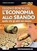 L'economia allo sbando. Quello che gli altri non dicono. DVD. Con libro (Verità nascoste)