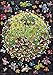 Football 1000-Piece Puzzle
