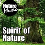 Spirit of Nature (Nature Sound with Music)