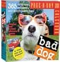 Bad Dog Page-A-Day Calendar 2008