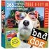 Bad Dog Page-A-Day Calendar 2008