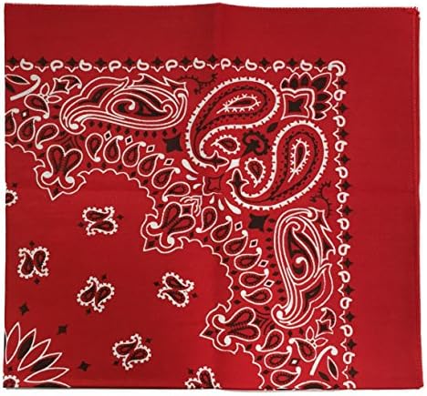 Essma ClothingUSA Made Military Army Trainmen Paisley 22" X 22" Bandanas Dozen (12 Pcs) (Red)