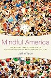 Mindful America: The Mutual Transformation of Buddhist Meditation and American Culture