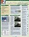 EZ Source Digital Camera Basics Laminated Reference Guide