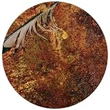 Downward Spiral [12 inch Analog]