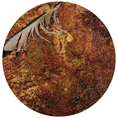 The Downward Spiral (Picture) [Vinyl LP]