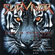 Fire in Your Eyes - Greatest Hits