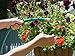 Teknor Apex NeverKink 8615-75, Heavy Duty Garden Hose, 5/8-Inch by 75-Feet