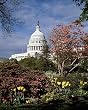 Capitol Splendor, Washington, D.C. Photograph - Beautiful 16"x20" Photographic Print by Carol M. Highsmith