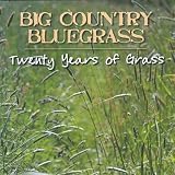 Twenty Years of Grass