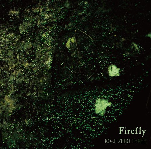 FIRE FLY