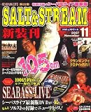 SALT & STREAM (ソルトアンドストリーム) 2007年 11月号 [雑誌]