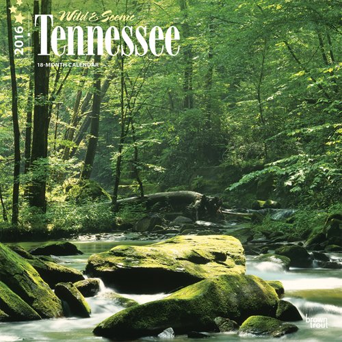 Tennessee, Wild & Scenic 2016 Square 12x12