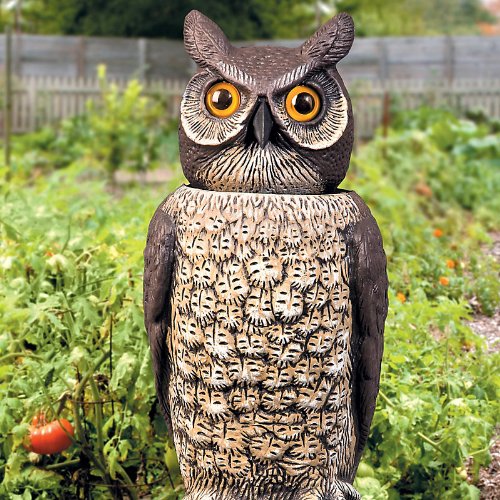 Using an Owl Decoy to Deter Birds and Undesired Wildlife